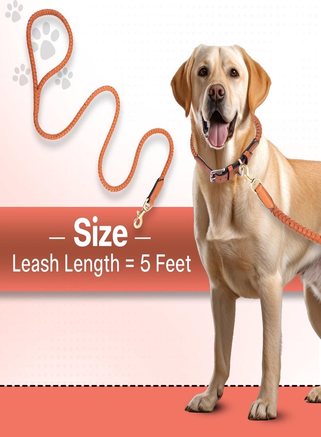 ADIL'S Adil’S Braided Rolled Drum Dyed Leather Dog Leash with 360 Degree Rotating Clasp 5 FT Long, Non-Slip Grip Handle, Suitable for Large & Medium Dogs, Cognac - Image 4